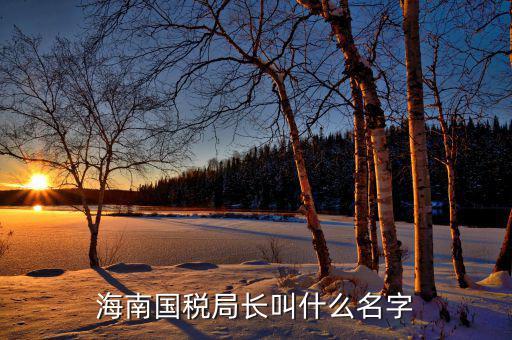 云巖國稅局局長姓什么，太原尖草坪區(qū)國稅分局負責(zé)人叫什么名字