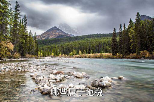 什么是地教稅，印花稅土地使用稅請問酒店要交地教稅土地使用稅是什
