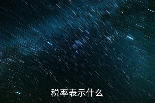 納稅代表什么，稅率表示什么