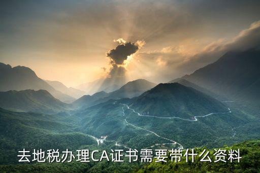 地稅ca帶什么，去地稅簽三方協(xié)議需要以下東西第四個CA是什么意思啊