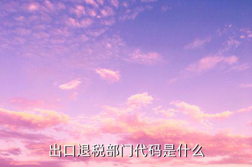 出口退稅部門代碼是什么