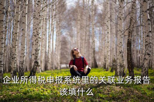 什么情況寫關聯(lián)申報，企業(yè)所得稅申報系統(tǒng)里的關聯(lián)業(yè)務報告該填什么