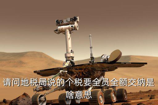 請(qǐng)問地稅局說(shuō)的個(gè)稅要全員全額交納是啥意思