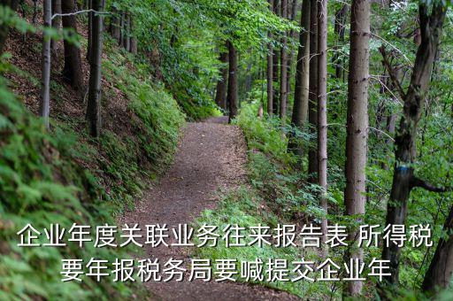 國(guó)稅關(guān)聯(lián)表是什么意思，所得稅中關(guān)聯(lián)關(guān)系是什么意思