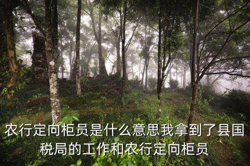 國(guó)稅值班是什么意思，農(nóng)行定向柜員是什么意思我拿到了縣國(guó)稅局的工作和農(nóng)行定向柜員