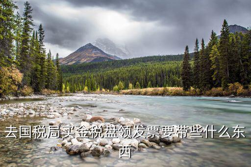 領(lǐng)金稅盤要帶什么資料，去國(guó)稅局買金稅盤領(lǐng)發(fā)票要帶些什么東西