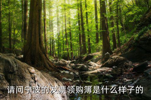 發(fā)票領(lǐng)用簿什么樣子，會計發(fā)票領(lǐng)購沒經(jīng)驗想請問領(lǐng)購的發(fā)票時什么樣的有金額顯示嗎
