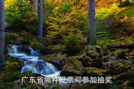 什么發(fā)票可以抽獎(jiǎng)，廣東省哪種發(fā)票可參加抽獎(jiǎng)