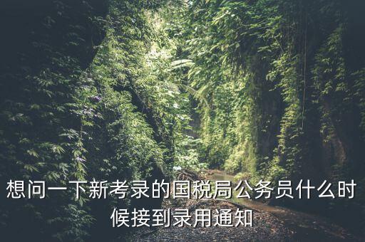 國稅錄取通知什么時(shí)候，今年國稅公務(wù)員正式錄用公告什么時(shí)候出