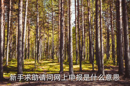 新手求助請問網(wǎng)上申報(bào)是什么意思