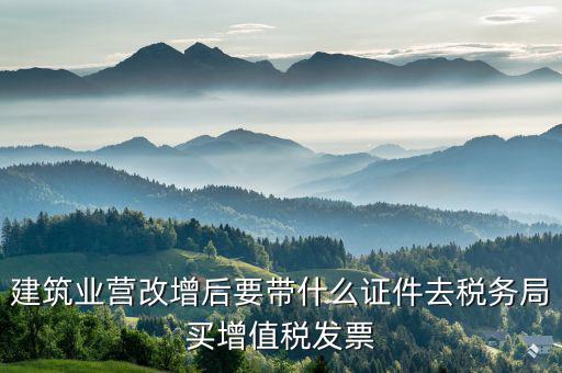 建安稅營(yíng)改增后叫什么資料，營(yíng)改增后去國(guó)稅開(kāi)建安的外經(jīng)證需要哪些材料