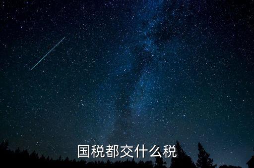 國(guó)稅五項(xiàng)稅種都是什么，國(guó)稅包括哪些稅種