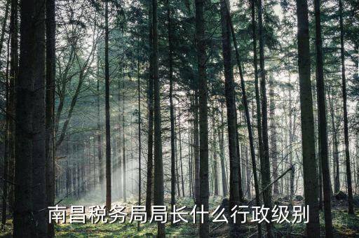 稅務局局長是什么級別，金河鎮(zhèn)稅務務局局長是什么級別