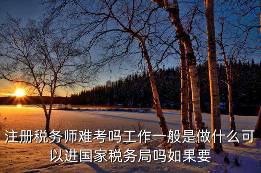稅務(wù)師是什么，注冊稅務(wù)師能干什么待遇怎么樣
