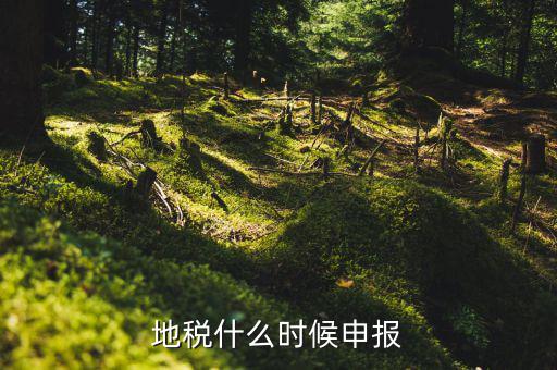 地稅上面基金申報是指什么時候，地稅什么時候申報