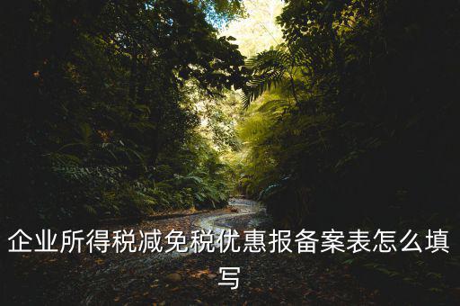 什么是稅收優(yōu)惠備案表，企業(yè)所得稅優(yōu)惠備案表填寫(xiě)急
