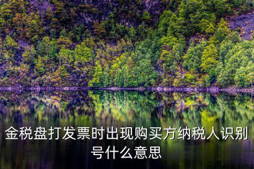 購(gòu)貨方識(shí)別號(hào)是什么，開(kāi)票方識(shí)別號(hào)是什么意思
