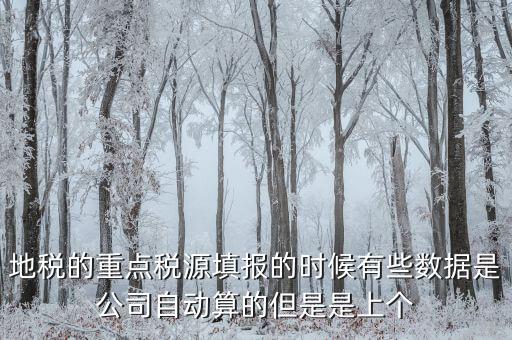 為什么重點稅源是上個月的數(shù)據(jù)，地稅的重點稅源填報的時候有些數(shù)據(jù)是公司自動算的但是是上個