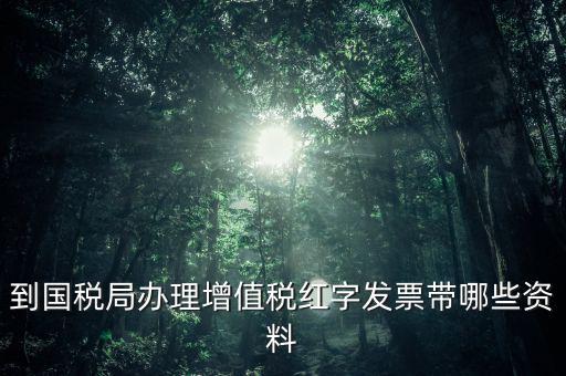 開(kāi)紅字增票要帶些什么，增值稅普通發(fā)票開(kāi)具紅字發(fā)票需要什么資料