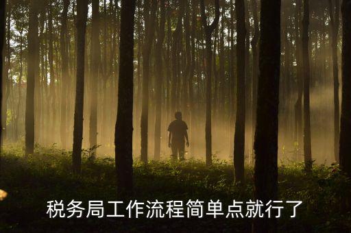 稅務局上班要什么手續(xù)，稅務局工作流程簡單點就行了