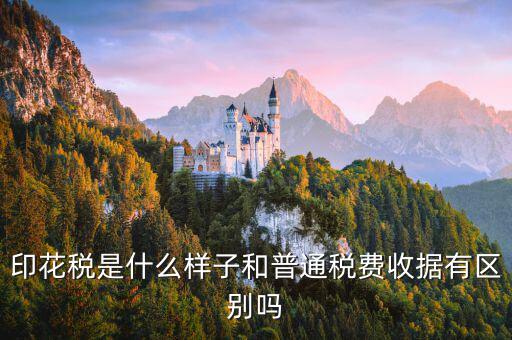 稅花什么樣，印花稅是什么樣子和普通稅費(fèi)收據(jù)有區(qū)別嗎