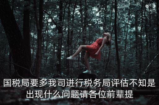 國稅評估局是干什么的，國稅局是做什么的說簡單點兒吧謝謝