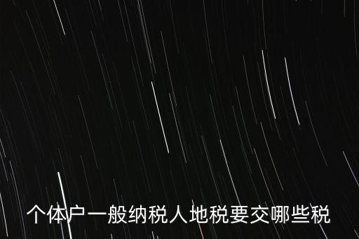 個(gè)體戶(hù)一般納稅人地稅要交哪些稅
