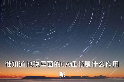 地稅安徽ca是什么意思，什么是國稅CA和地稅CA他是具體干什么用的
