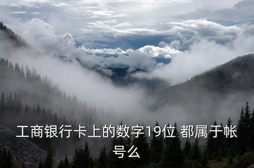 工行19位賬號(hào)應(yīng)用號(hào)是什么，請(qǐng)解釋工商銀行19位帳號(hào)的組成含義