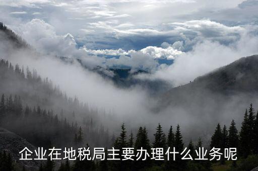 廣州地稅辦理什么業(yè)務(wù)，廣州稅務(wù)登記