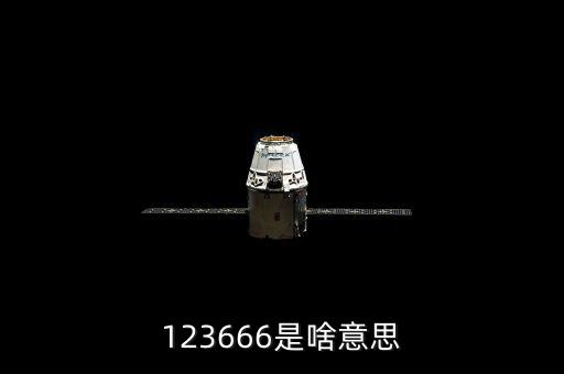 12366數(shù)字代表什么，12366納稅服務(wù)熱線 這幾個數(shù)字 有特殊的意義請問誰知道它們分