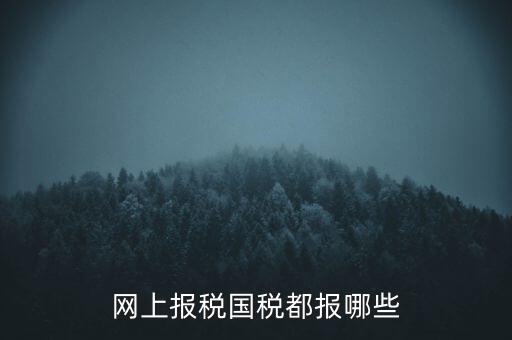國(guó)稅云辦稅廳都報(bào)什么，你好我是新手我想問(wèn)一下前輩國(guó)稅每月季年都報(bào)什么報(bào)表