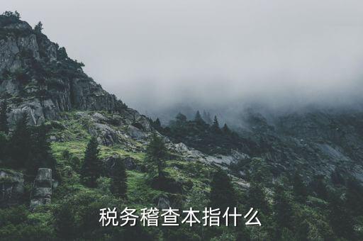 什么叫稅務(wù)稽查檢查科臺(tái)帳范本，稅務(wù)稽查本指什么