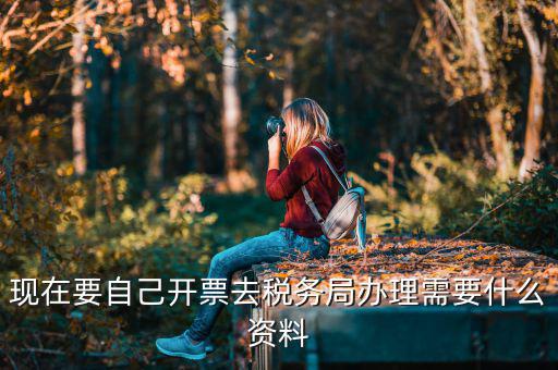 自己開專票要什么資料，開個(gè)人增值稅發(fā)票需要什么資料