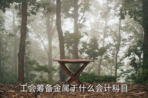 工會(huì)籌備金是什么意思，工會(huì)籌備金計(jì)入什么科目呀