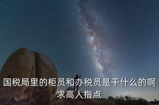 國稅志愿者可以做什么，國稅局里的柜員和辦稅員是干什么的啊求高人指點(diǎn)
