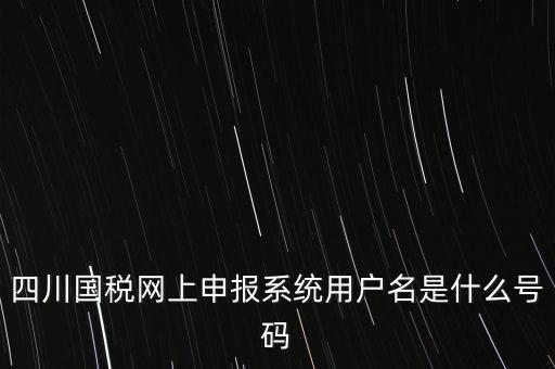 四川省地方稅務(wù)局登錄賬號是什么，在網(wǎng)上報稅登陸時用戶名是什么