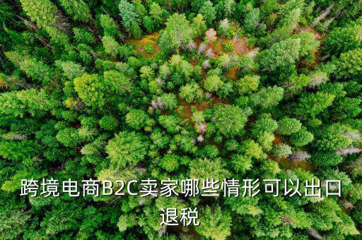 什么情況退稅，跨境電商B2C賣家哪些情形可以出口退稅