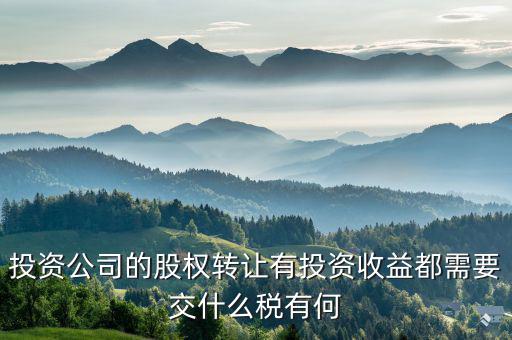 投資公司都要納什么稅，外商投資企業(yè)以設(shè)備投資需要交什么稅