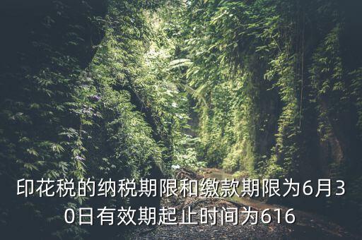 繳款期限什么意思，滯納金是什么意思