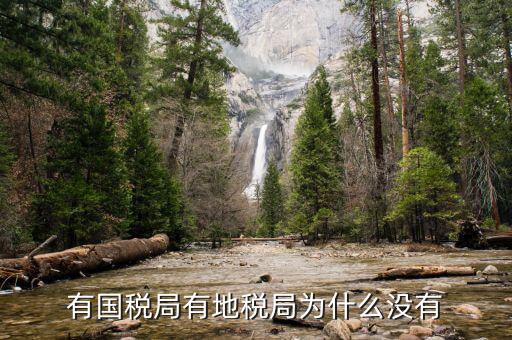 晨曦集團地稅為什么少，社保為什么要地稅代扣