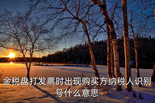 發(fā)票的付款方識(shí)別號(hào)是什么意思，開(kāi)票方識(shí)別號(hào)是什么意思