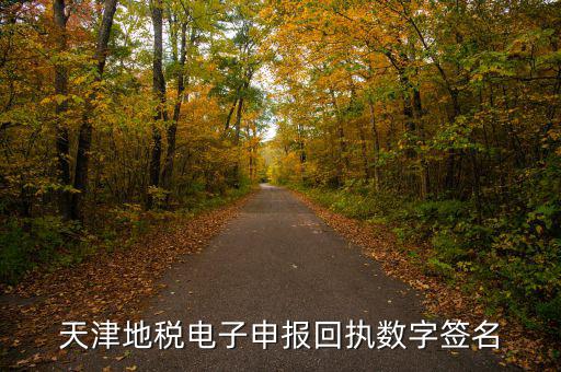 天津地稅自查表是什么，天津地稅電子申報回執(zhí)數(shù)字簽名