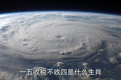 什么生肖要打稅，稅意新榮打一生肖