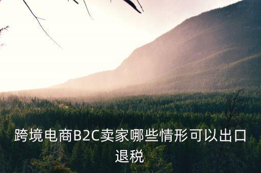 什么情況下要退稅，跨境電商B2C賣家哪些情形可以出口退稅
