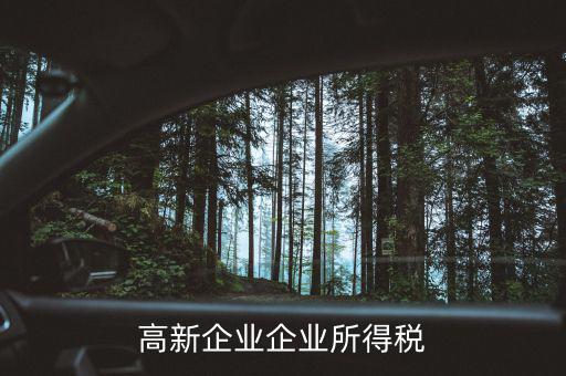 什么高新企業(yè)所得稅，高新企業(yè)企業(yè)所得稅
