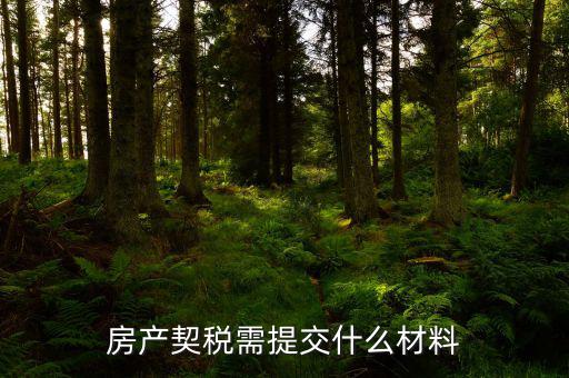 商品房交契稅需要什么材料，買(mǎi)房契稅何時(shí)交需要提供哪些材料