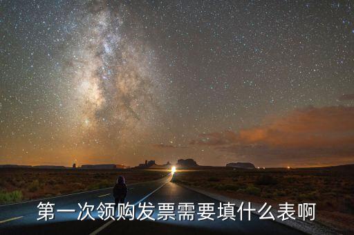 領(lǐng)發(fā)票去要填寫什么表，一般納稅人第一次領(lǐng)取發(fā)票時(shí)填什么表