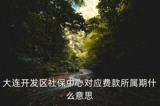 社保所屬期是什么意思，大連開(kāi)發(fā)區(qū)社保中心對(duì)應(yīng)費(fèi)款所屬期什么意思