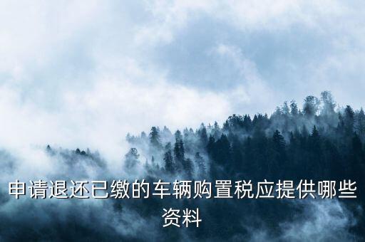 車輛退稅需要什么，現(xiàn)在購車要退什么稅